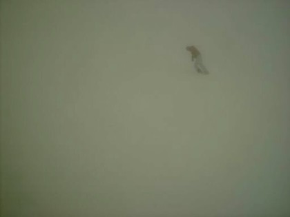 TUTTO-IL-RESTO-E-NEBBIA